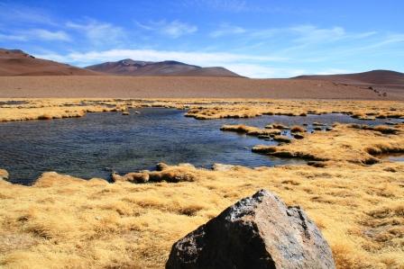 Laguna auf dem Altiplano